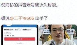 东方爆料倪海杉视频播放,倪海杉视频播放引发热议，揭秘背后真相